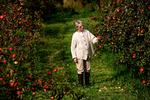 Ritt Bjerregaard fotograferet i sin æbleplantage i 2007. Æbleplantagen og naturen var der, hvor hun hun søgte hen for at finde ro, når det politiske liv gav skrammer. Foto: Maria Fonfara