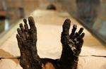 »Man skulle tro, at det var umuligt at såre et 3.000 år gammelt lig«, indleder tabloidavisen Daily Mail sin historie om, hvad museerne skal kalde resterne af afdøde egyptere. Her er det den mumificerede kong Tutankhamuns fødder. Foto: Ben Curtis/AP