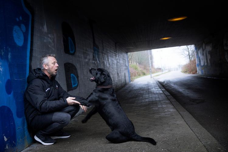 Sportschef: Der ligger en syg kultur bag relationen mellem træner og ...