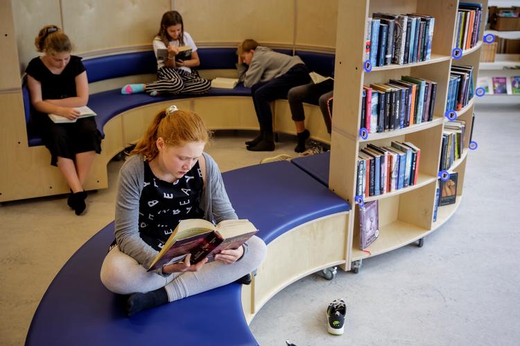 Flere danske lærere fortæller, at de mangler skolebøger til undervisningen, fortæller skoleforsker Louise Klinge. Her ses elever på Lille Værløse Skoles bibliotek. Arkivfoto Mads Nissen