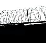 Byretsdommeren Dan Bjerring nævner i en kronik flere konkrete eksempler på personer, som bliver dømt for voldtægt i byretten og senere frifundet i landsretten, hvor de sidder varetægtsfængslet flere måneder undervejs. Foto: Jacob Ehrbahn