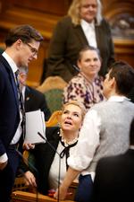 Alex Vanopslagh, der er leder af Liberal Alliance, fik som pennefører samlet ni partier bag en opfordring til regeringen om, at Folketinget skal styre undersøgelse af FE-sagen. Arkivfoto. Foto: Jens Dresling