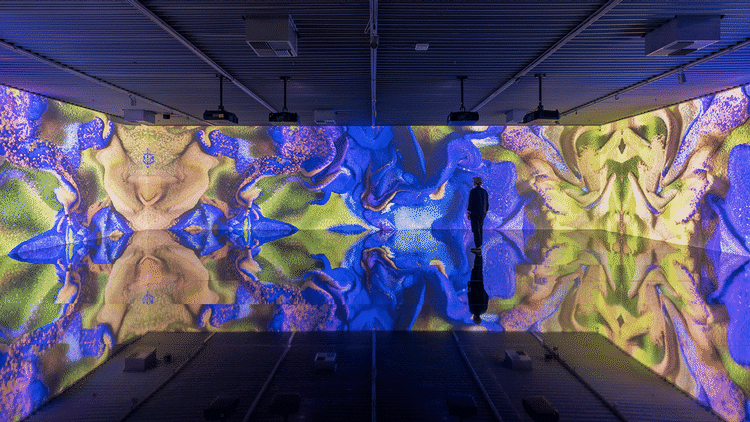 Noget af værket ’Nature Dreams – Machine Hallucinations’ (2021) vises i sit eget rum, men animationsprincipperne ligner udstillingens to andre værker til forveksling. Foto: David Stjernholm