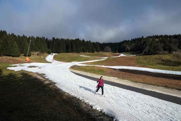 En kvinde øver sig på ski på trods af den manglende sne i La Feclaz i de franske alper. (AP Photo/Laurent Cipriani) Foto: Laurent Cipriani/Ritzau Scanpix