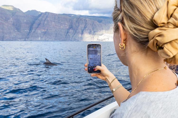 Der findes omkring 23 forskellige hvalarter i området ud for Tenerife og La Gomera. Delfinerne er de mest genkendelige med deres høje spring, mens grindehvaler, der også tilhører delfinfamilien, kan kendes ved at være en smule længere og tungere. ​  Foto: Tom Svensson/World Animal Protection​ 