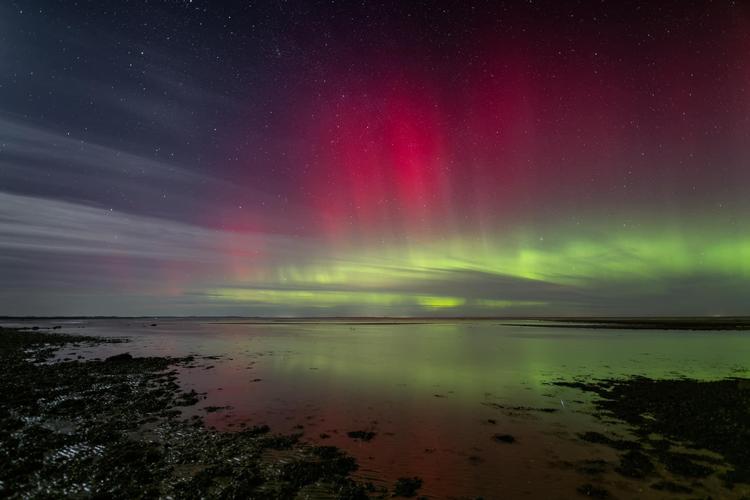 Foto: Oliver Schwenn