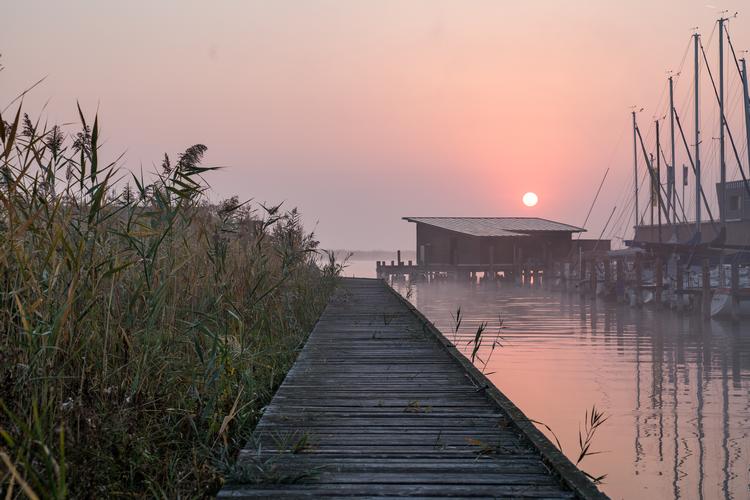 Der falder næsten ingen sne i Burgenland. I snit ti dage om året, men i de senere år har det været færre dage, hvor landskabet har været vinterpudret. Foto: Birgit Machtinger, Burgenland Turismus.​  