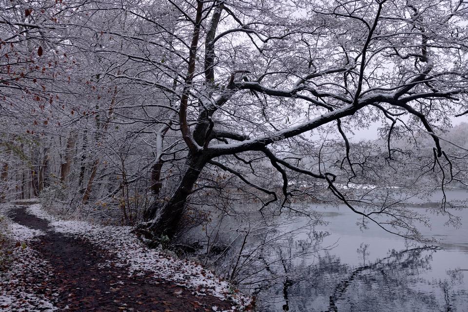 Hannah Aurora Almstrup