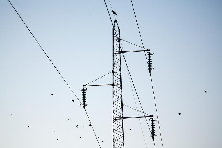 Foto: Thomas Borberg