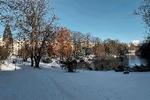 Onsdag morgen var Ørstedsparken i København dækket af sne til stor glæde for parkens gartnere og gæster. Foto: Rune Sebastian Gierl