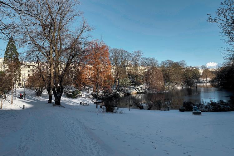 Onsdag morgen var Ørstedsparken i København dækket af sne til stor glæde for parkens gartnere og gæster. Foto: Rune Sebastian Gierl