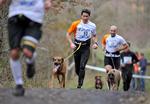 Til Canicross-konkurrencer løber hunde og mennesker i par mod hinanden. På billedet ses udøvere til de spanske mesterskaber.  Foto: Felix Ordonez/Ritzau Scanpix