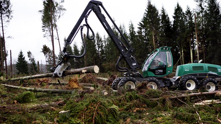 Foto: Rasmus Baaner