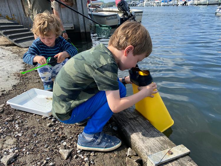 En vandkikkert er fantastisk til at opleve livet under vandet. 