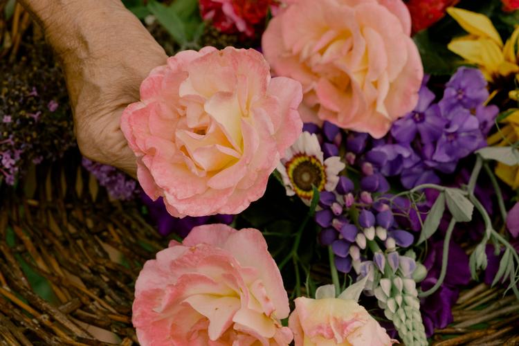 Foto: Katrine Hørup Noer