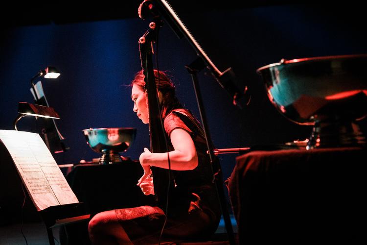 Det ville ikke gøre noget, hvis pipa-virtuosen Lucy Zhao kom tilbage en anden gang og gav en hel solokoncert i Diamanten. Foto: Malthe Ivarsson