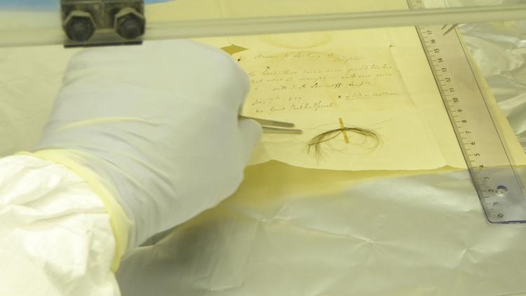 Et af Beethovens hår undersøges i et laboratorium i Leipzig. Der er hår fra fem forskellige hårlokker, som blev klippet af Beethovens de sidste syv år af hans liv. Foto: AFP PHOTO/Anthi Tiliakou/Ritzau Scanpix
