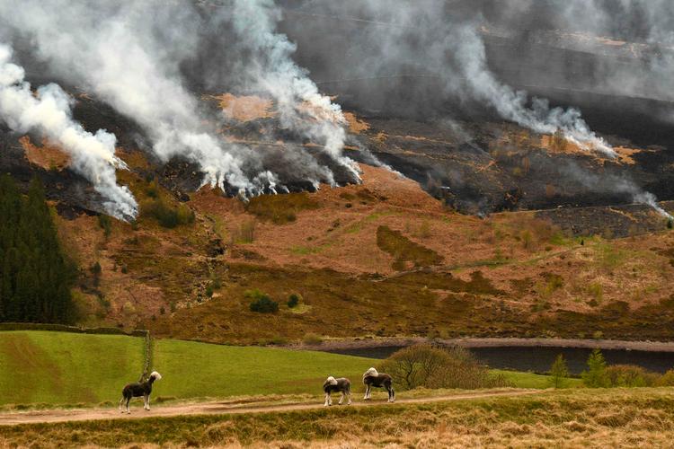 Foto: Oli Scarff/Ritzau Scanpix