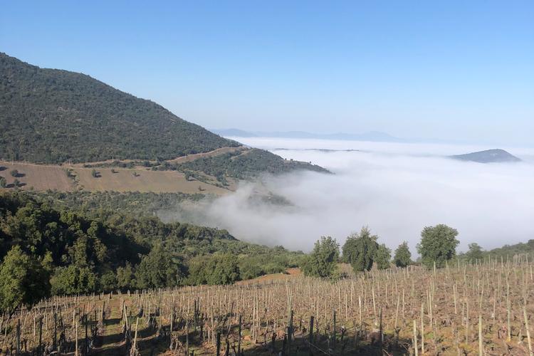 Foto: Thomas Ilkjær