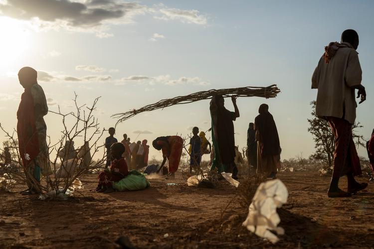 Sultkatastrofen på Afrikas Horn er faretruende tæt på at blive erklæret som hungersnød. Arkivfoto. Foto: Jerome Delay/Ritzau Scanpix