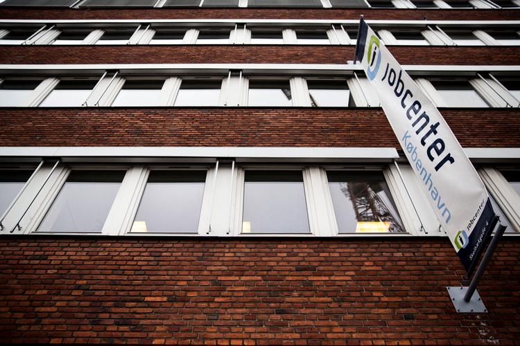 Rekordhøjt antal ikke-vestlige indvandrere er kommet i job Foto: Janus Engel
