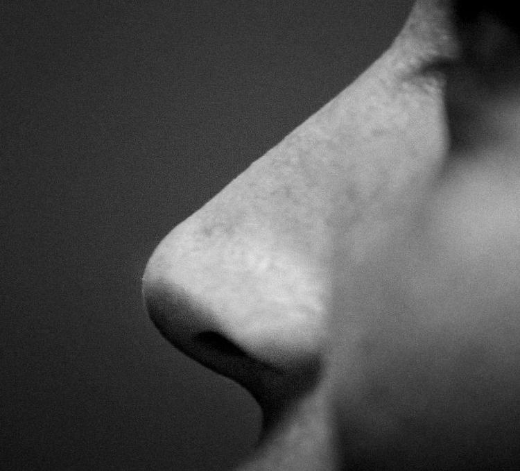 Hvad gør man, når næsen pludselig virker lidt for godt? Foto: Miriam Dalsgaard