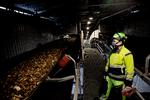 Danmark har et af verdens højeste forbrug af biomasse per indbygger. Afbrænding af biomasse sker blandt andet her på Amagerværket, hvor et dagligt forbrug på 4,5 tusind tons træflis sørger for varme og el til københavnerne. Foto: Martin Lehmann