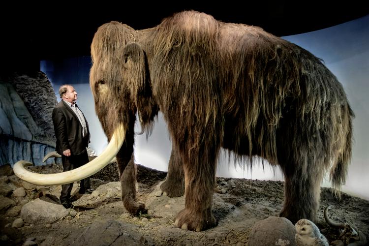 Den svenske filminstruktør Roy Andersson er en mester i at skildre små mennesker konfronteret med store problemer.  Det antager ofte groteske former. Her er han fotograferet på Zoologisk Museum i København i forbindelse med filmen 'En due sad'. Foto: Mads Nissen