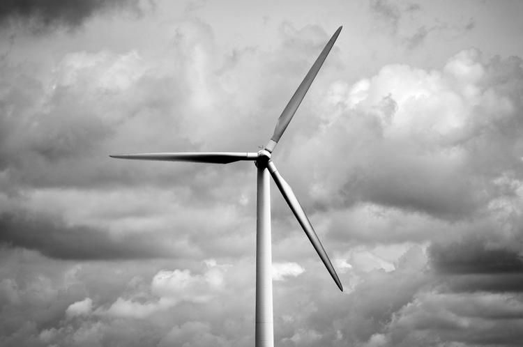 Vindmøller giver grøn strøm, men er også med til at gøre elproduktionen sværere at forudse. Det vil gøre markedet for energi endnu mere lukrativt for spekulanter. Foto: Thomas Borberg