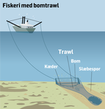 Travl-havbund