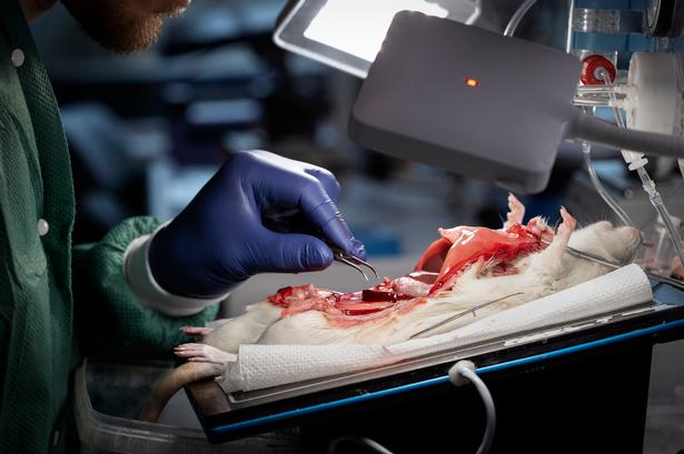 Foto: Miriam Dalsgaard