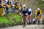 Tadej Pogacar kvaste alle konkurrenterne på Oude Kwaremont i flere omgange og vandt suverænt Flandern Rundt 2023. Foto: Dirk Waem/Ritzau Scanpix