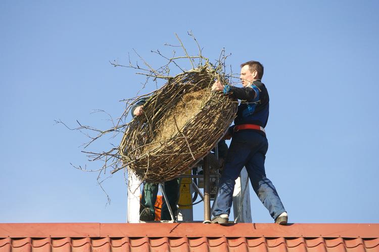 Foto: Jens Dresling