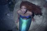 Halle Bailey spiller havfruen Ariel, der drømmer om at komme op på land i menneskeverdenen.  Foto: Walt Disney Studios