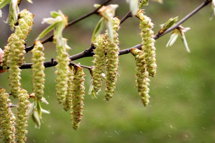 Foto: Søren Schnoor