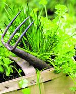 Foto: Home Garden
