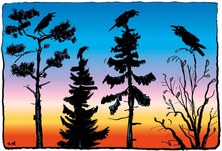 Foto: Claus Nørregaard/POLITIKEN