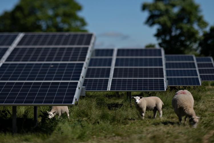 De kommende år vil det lykkes at gøre al dansk strøm og fjernvarme grøn med biomasse, solceller og vindmøller, forudser Energistyrelsen.  Foto: Brian Karmark