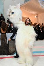 Jared Leto var inde i katten. Foto: Angela Weiss/Ritzau Scanpix