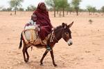 Foto: Gueipeur Denis Sassou/Ritzau Scanpix