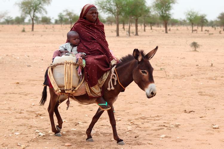 Foto: Gueipeur Denis Sassou/Ritzau Scanpix