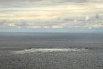 Med udgangspunkt i opsnappet russisk radiokommunikation og satellitbilleder er det lykkes at kortlægge russiske skibes sejlruter og stedfæste dem på konkrete positioner tæt på og lige hen over gasledningen. Foto: Danish Defence Command/Ritzau Scanpix