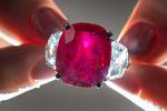 En ansat på auktionen holder 'Sunrise Ruby' en sjælden Cartier rubin- og diamantring.  Foto: Fabrice Coffrini/Ritzau Scanpix