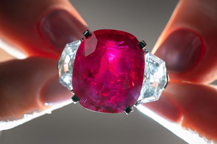 En ansat på auktionen holder 'Sunrise Ruby' en sjælden Cartier rubin- og diamantring.  Foto: Fabrice Coffrini/Ritzau Scanpix