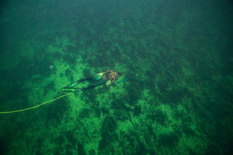 Foto: Tobias Dinesen 