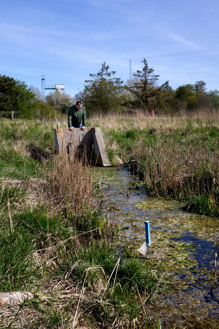     Kenneth Nielsen var formand for Korsør Kvæggræsserforening og spiste gennem 15 år kødet fra køerne. Han var blandt de 187 personer, der blev testet for PFAS, og som havde temmelig høje værdier i kroppen. Han fortæller om, hvordan det er at leve med den uvished, der er omkring PFAS   Foto: Finn Frandsen