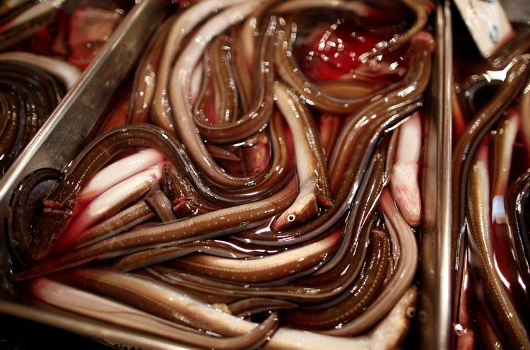 Foto: Issei Kato/Ritzau Scanpix