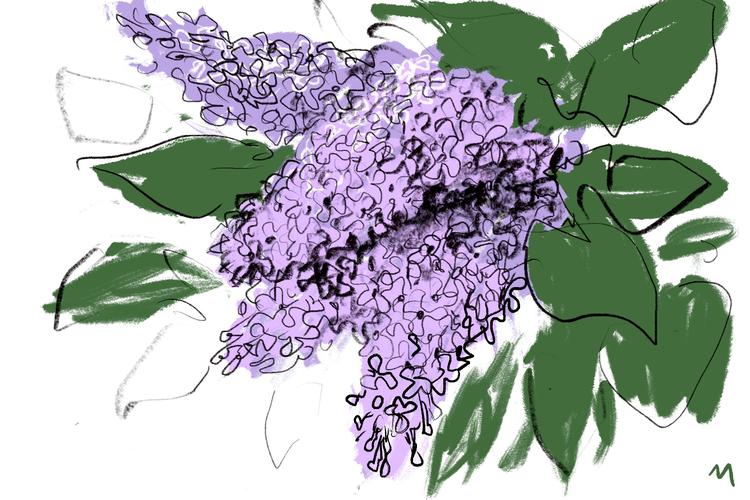 Foto: Mette Dreyer/POLITIKEN