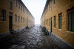 Flere bornholmere kunne i sidste uge mærker rystelser i de Bornholmerne.  Foto: Janus Engel/FREELANCE