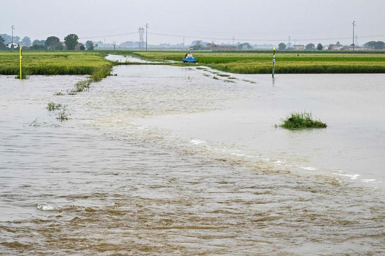 Foto: Andreas Solaro/Ritzau Scanpix